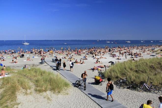 Apartment Delicius Near The Beach,metro, Airport *